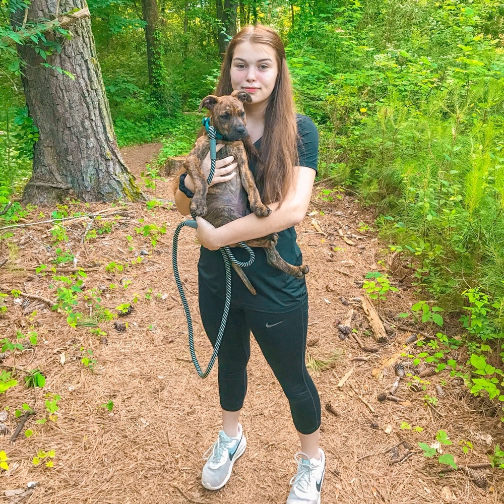 Meet your Posher, Taylor